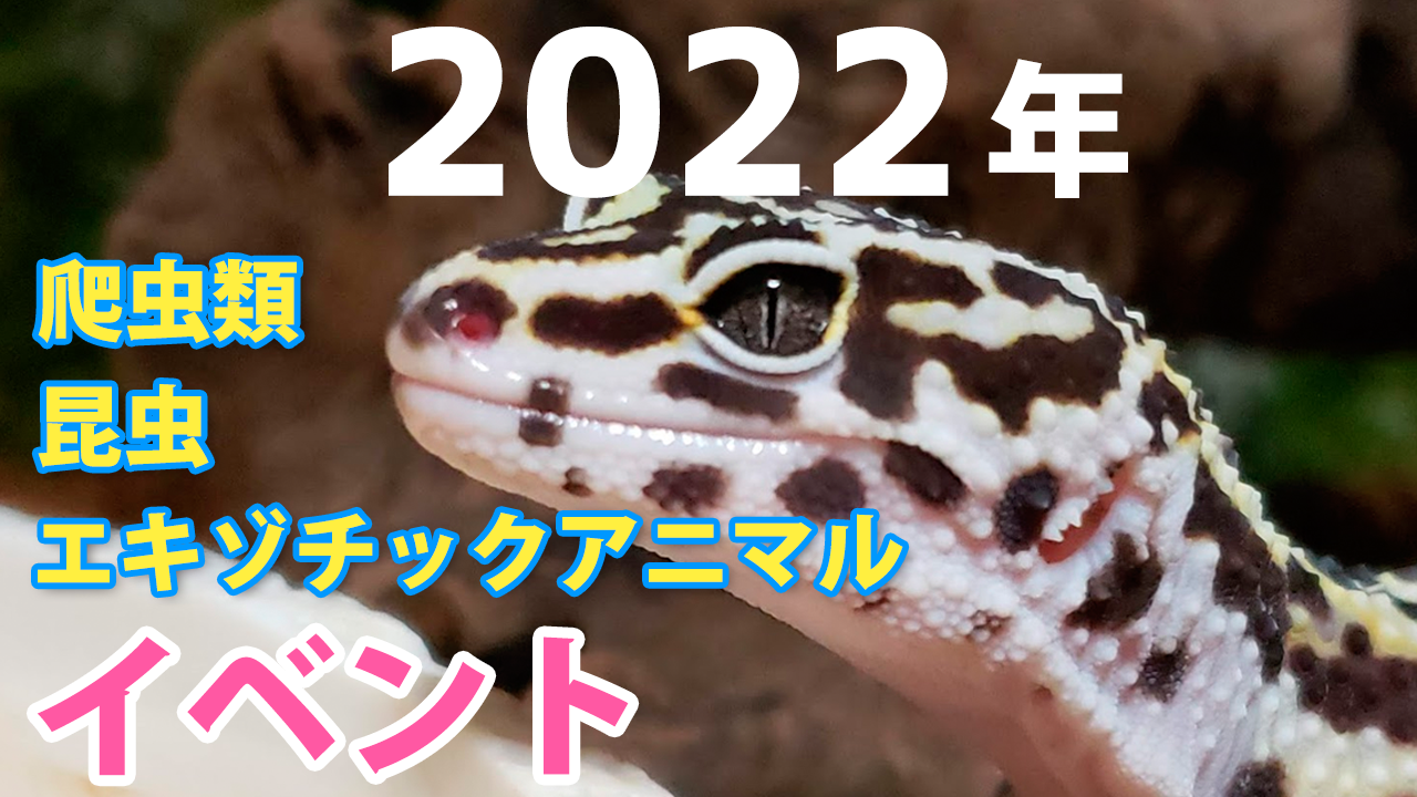 爬虫類 イベント 大阪