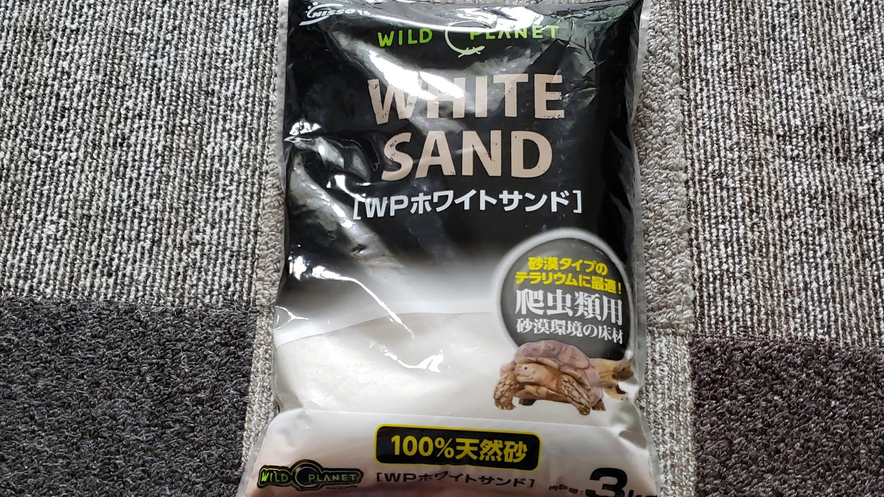 ホワイトサンドの実使用レビュー 砂漠系爬虫類の床材に アンダーウッディサウルミリィに使用 爬虫類飼育ブログ